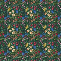 dsXStella-DFN3746 FOREST